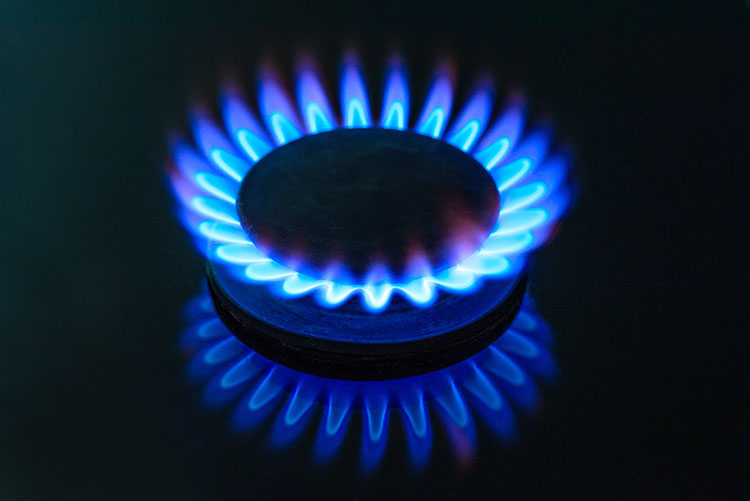 New Entrant Domestic Gas Installer Course(Total Course Fee: £4320.00)